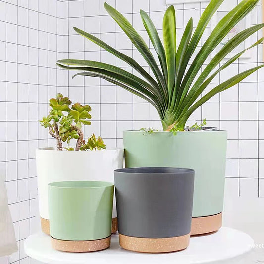 Large Round Plastic Plant Pot – Indoor succulent/flower planter with drainage tray